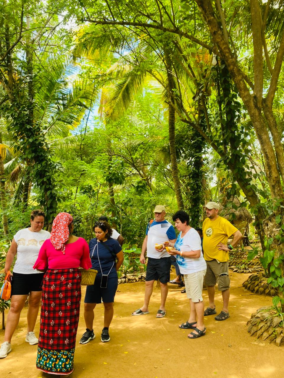 Traditional Activities